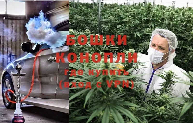 мега ТОР  Полярные Зори  Бошки марихуана SATIVA & INDICA 